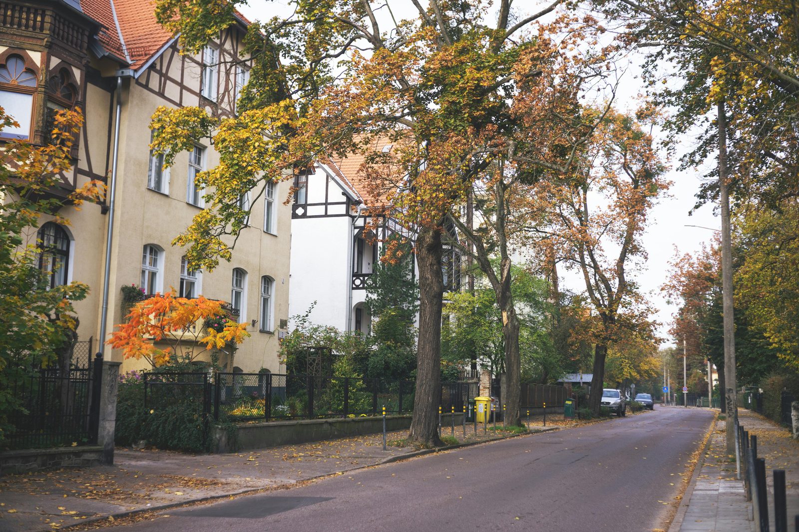 European residential street with trees — Copenhagen's residential neighborhoods (Vesterbro, Nørrebro, Frederiksberg, Østerbro) host most Airbnb listings