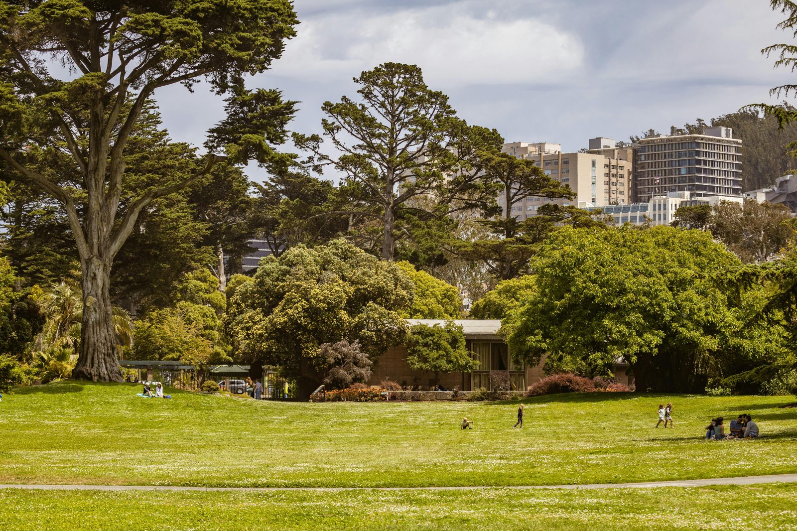 Lush green urban park where people relax on the grass — similar to Fælledparken in Copenhagen's Østerbro