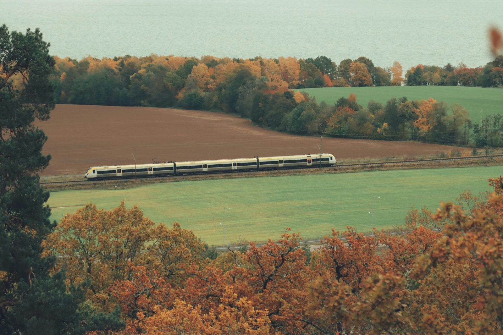 Scenic Scandinavian train travelling through vibrant autumn landscapes — the easy DSB and Øresund train network makes day trips from Copenhagen a breeze
