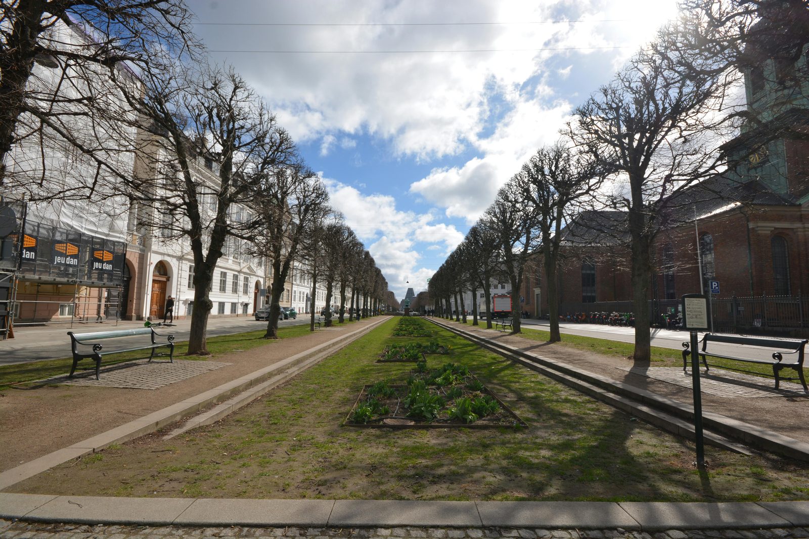 Tree-lined park avenue in Copenhagen's Østerbro neighborhood
