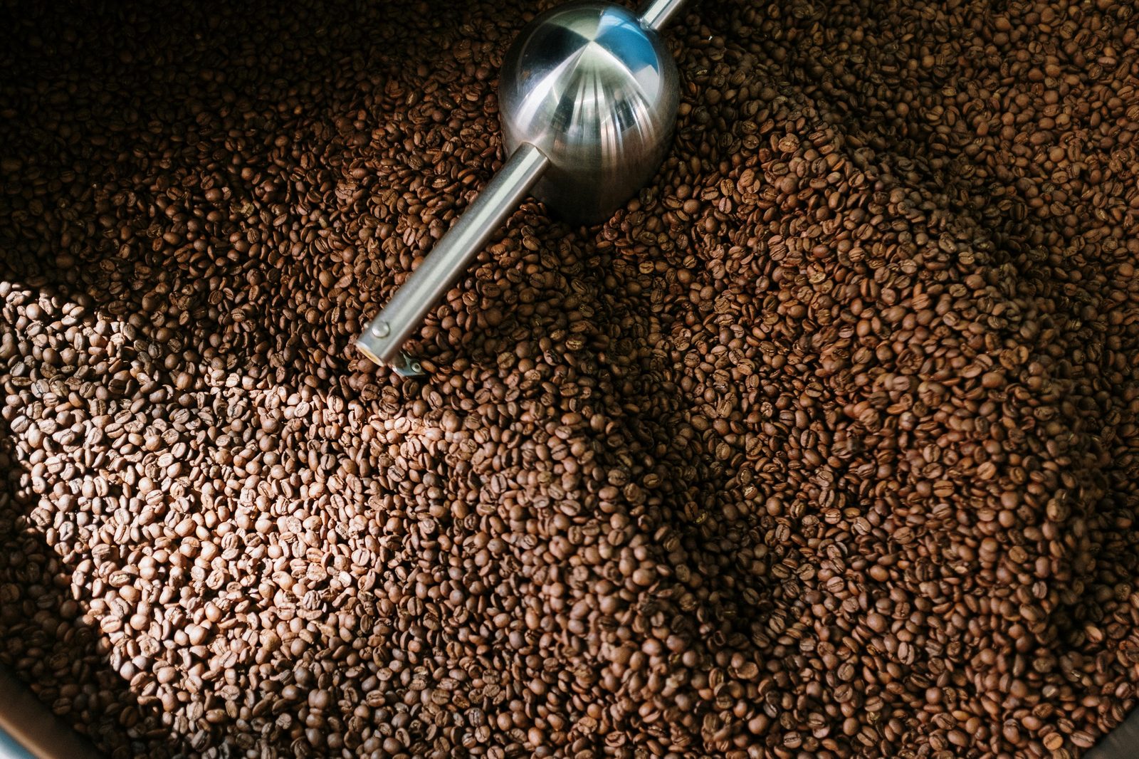 Coffee roaster with beans roasting — Copenhagen's third-wave roasters including Coffee Collective, La Cabra, Prolog and April source direct from origin farms