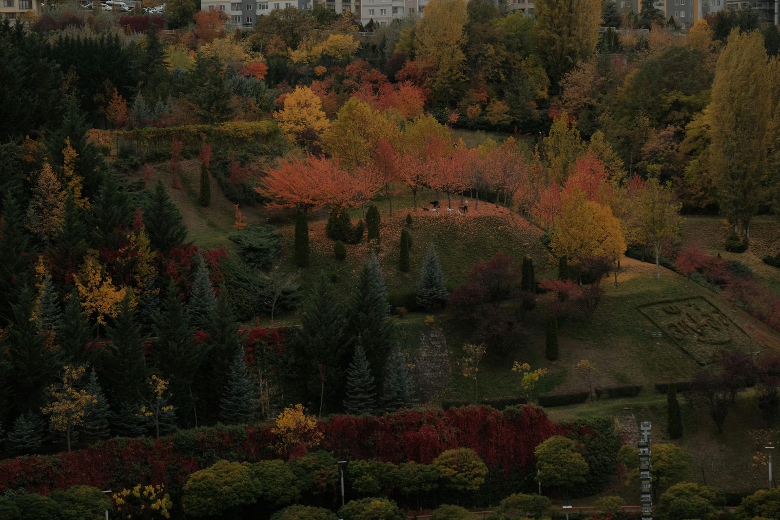Autumn park trees colorful — Frederiksberg Have, Faelledparken, and Bispebjerg Cemetery offer Copenhagen's best fall foliage