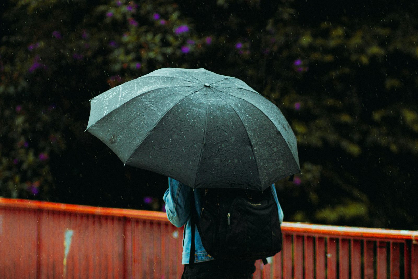 Person umbrella autumn rain — October-November are Copenhagen's wettest months with 60 mm rainfall and frequent showers