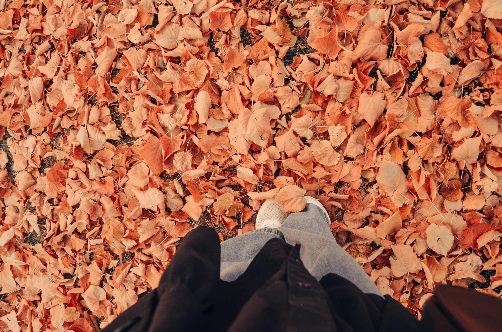 Person walking autumn leaves — Copenhagen autumn walking through Frederiksberg Have, Faelledparken, Assistens Cemetery is the season's signature activity