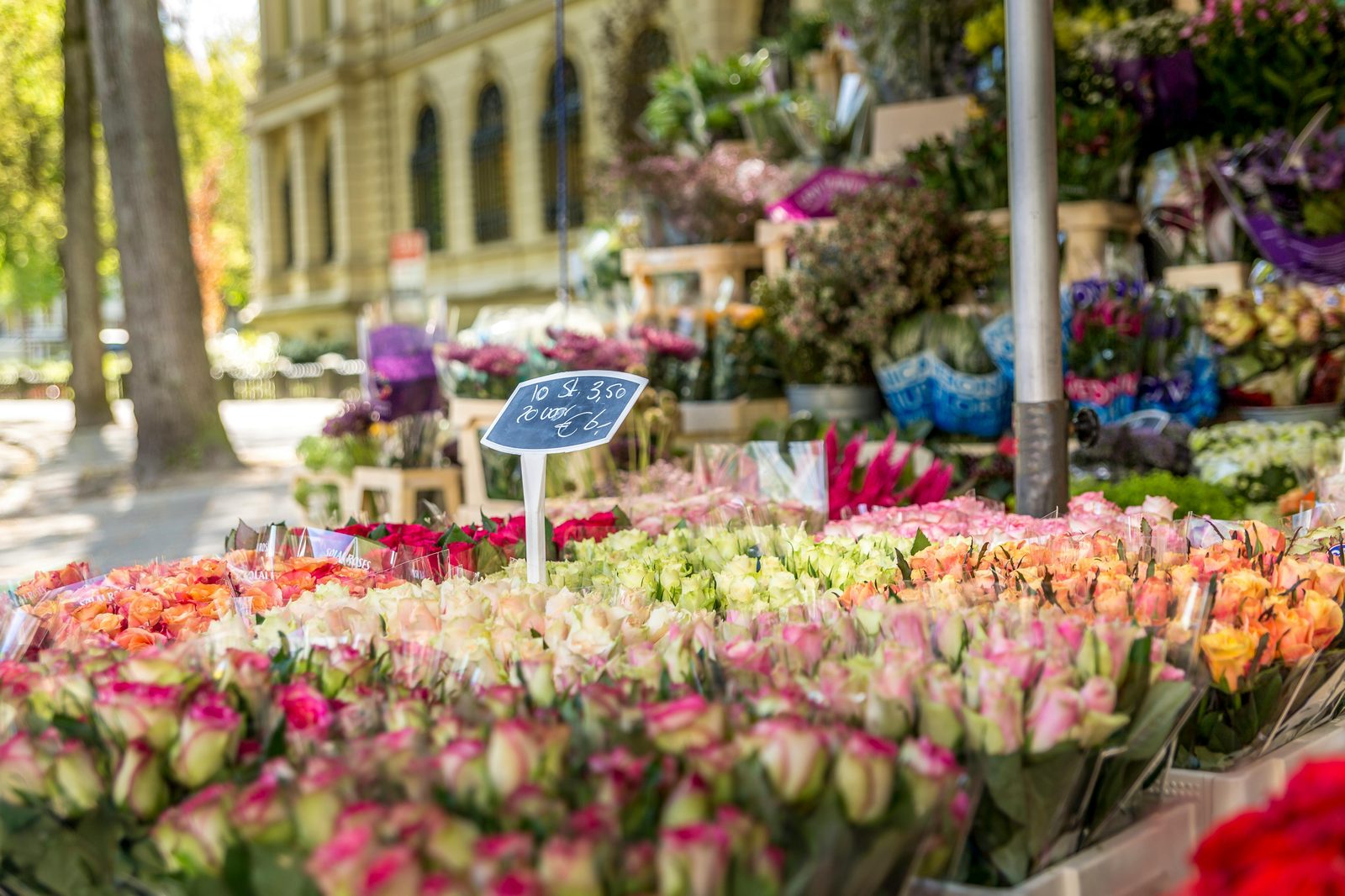 Fresh flower market stall — Copenhagen flower markets at Torvehallerne and weekly farmers markets feature spring blooms