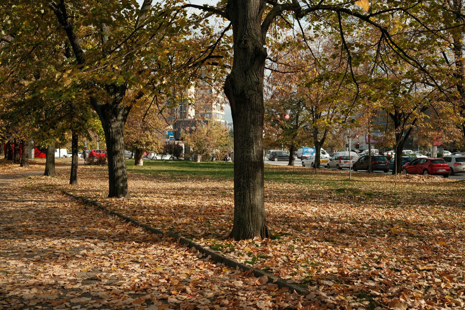 Autumn city park yellow leaves — Copenhagen in fall offers cozy hygge season, autumn colors, fewer tourists, and Tivoli Halloween