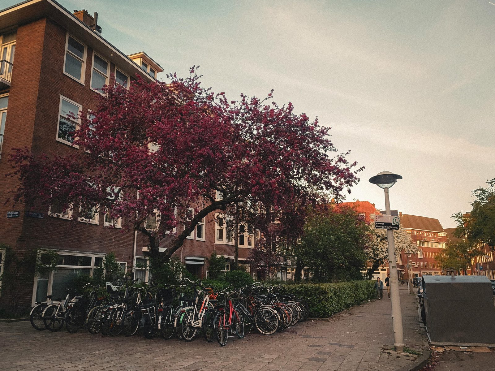 City bicycle spring street — Copenhagen cycling peaks in spring with longer days and mild weather perfect for exploring