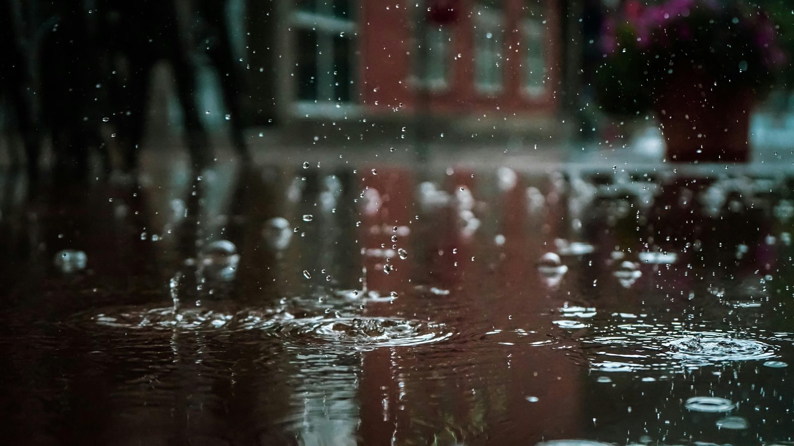 Spring rain puddle reflection — Copenhagen spring rain is brief but frequent; April showers are common