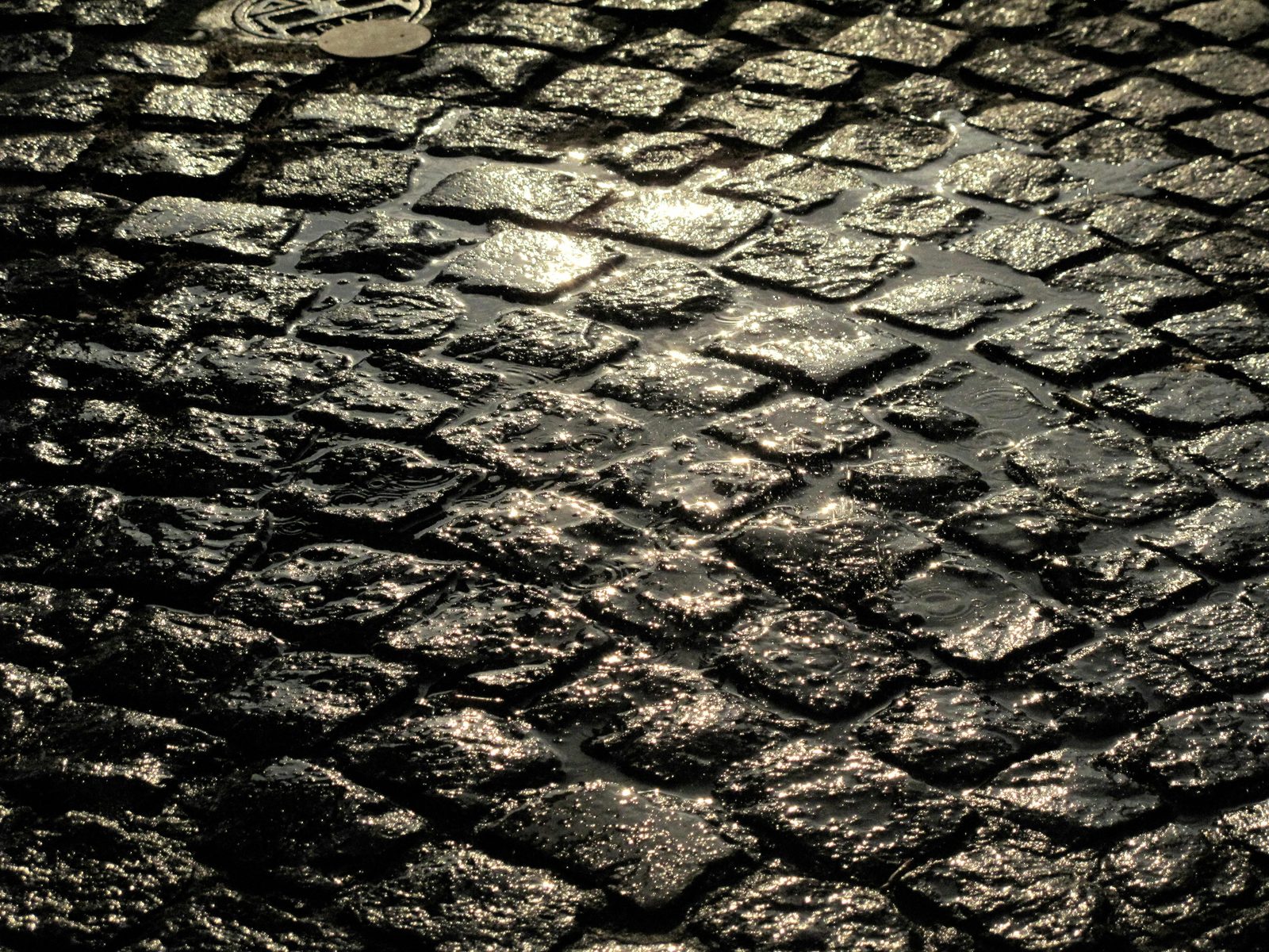 December cobblestone street wet — Copenhagen December weather is cold and damp with 7 hours daylight and frequent showers