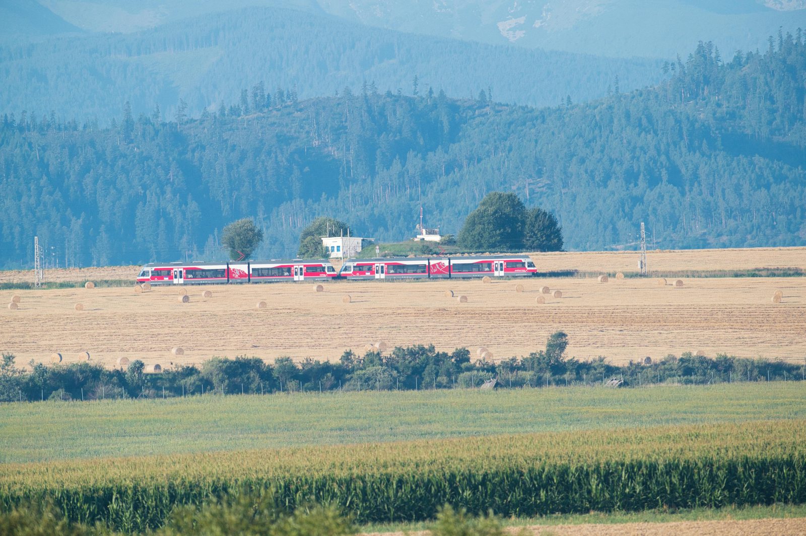 Train through the Danish countryside — day 4 of a Copenhagen 4 day itinerary is a day trip by DSB or S-tog