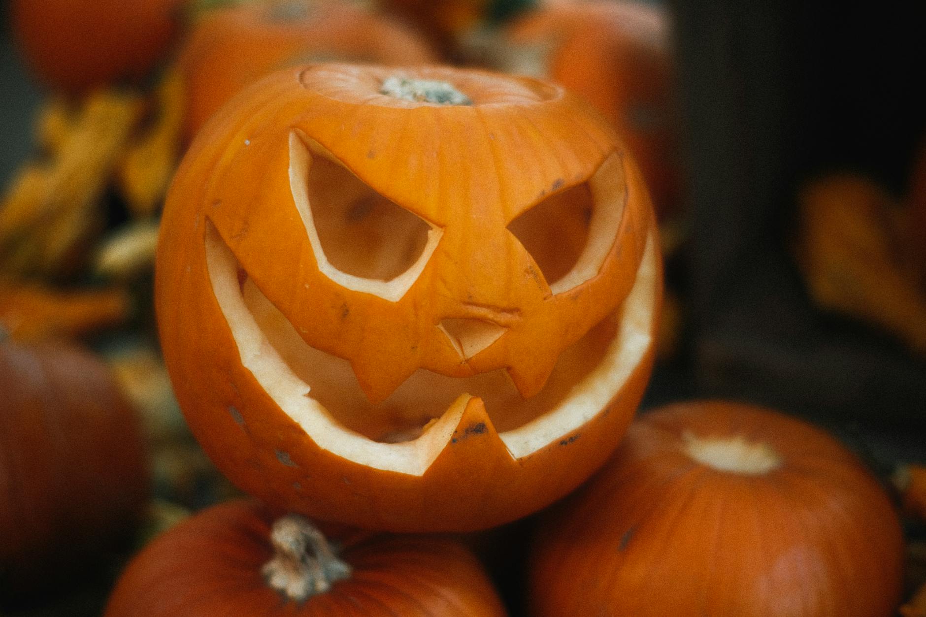 Carved jack-o'-lanterns glowing at dusk