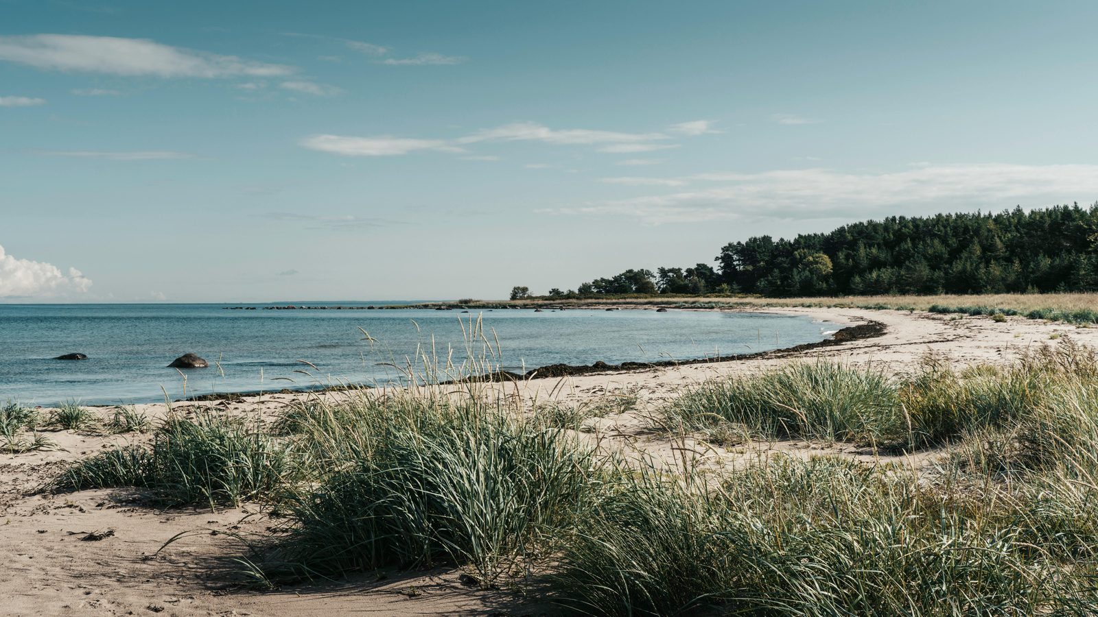 Scandinavian sandy beach — Ribersborg beach in Malmo is a 2.5 km sand beach 15 min walk from city center