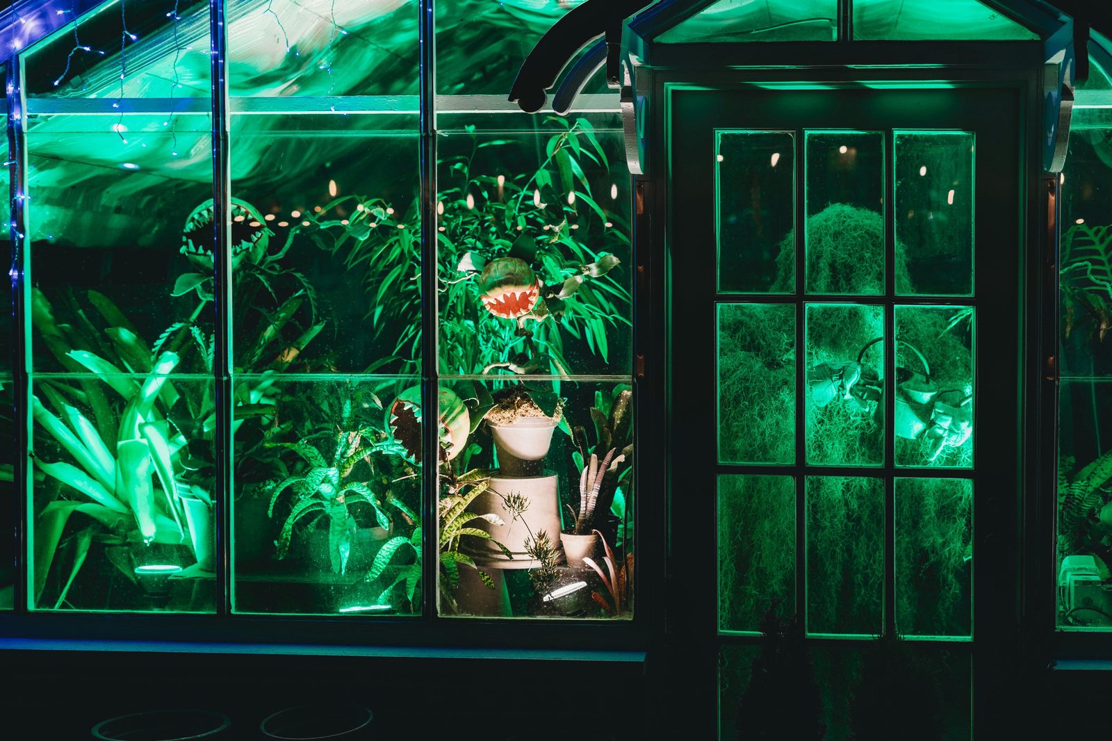 Greenhouse restaurant interior — Copenhagen has multiple greenhouse-set Michelin and near-Michelin venues including Gemyse and Geist