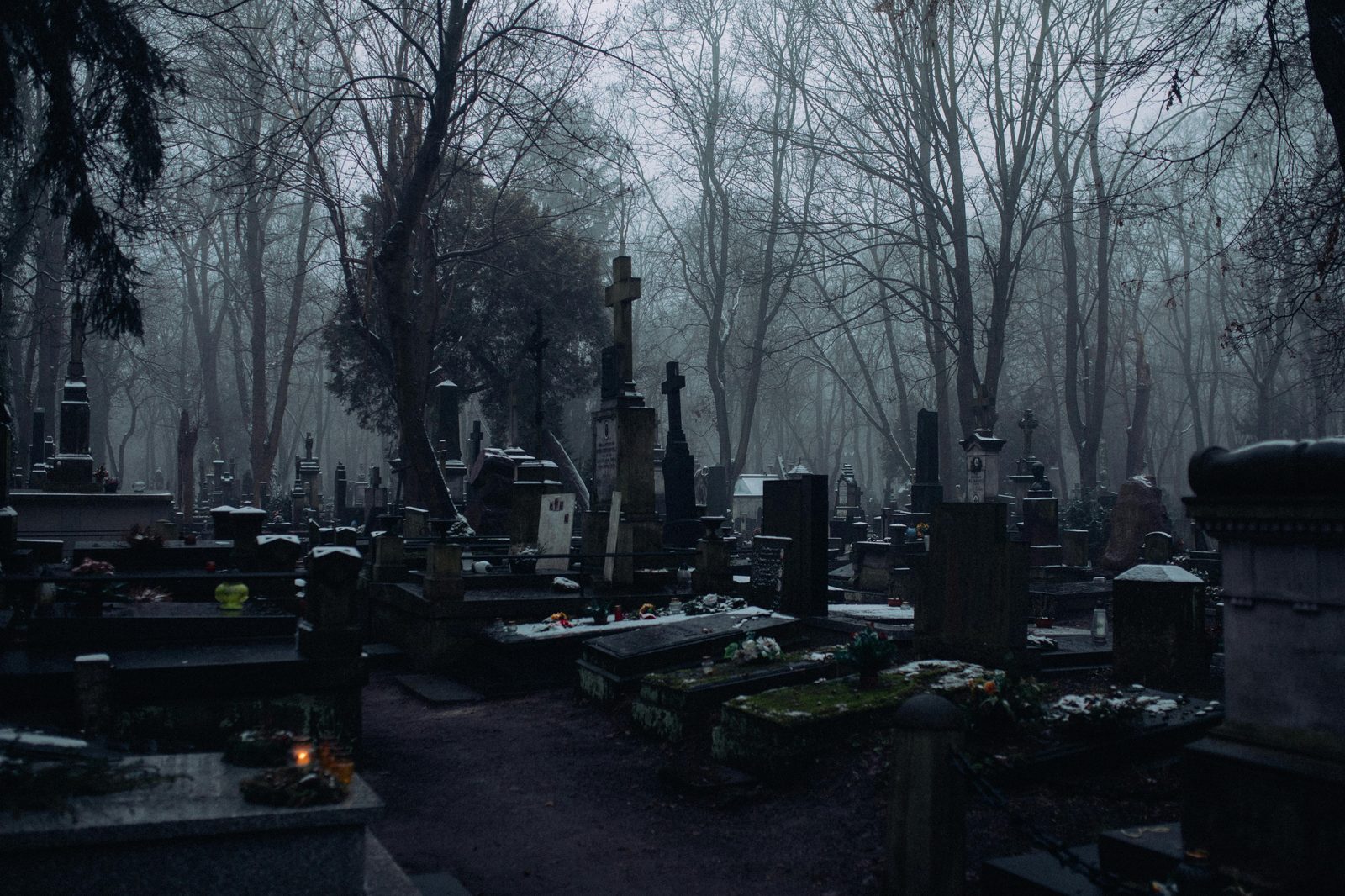 Assistens Cemetery in Nørrebro Copenhagen, a leafy 18th-century park where locals walk and picnic