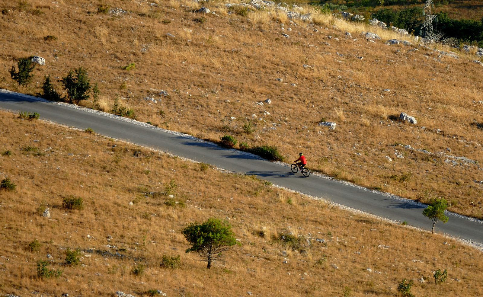A lone cyclist — cycling is the safest way to explore on a Copenhagen solo travel trip