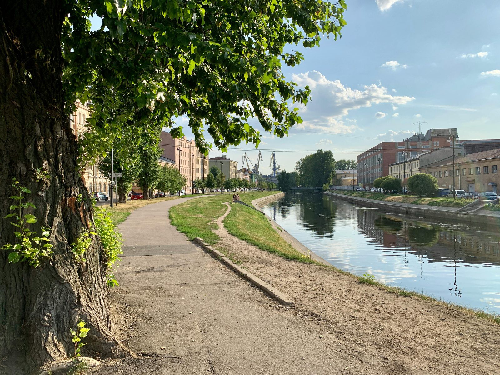 Urban park canal walkway — Islands Brygge Park is Copenhagen's premier harbor park with grass lawns and waterfront promenade