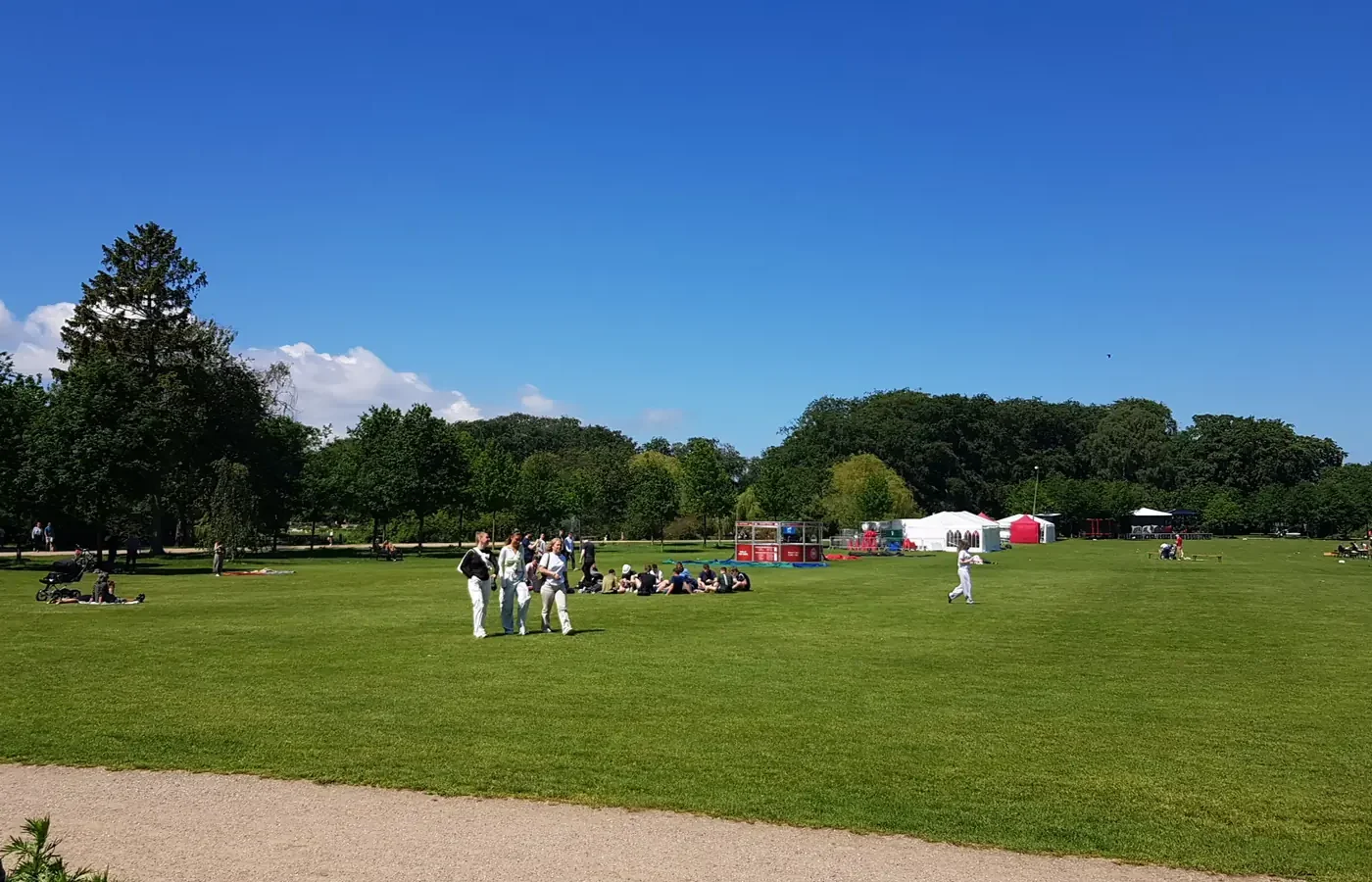 People relaxing on the open lawns of Fælledparken on a sunny day