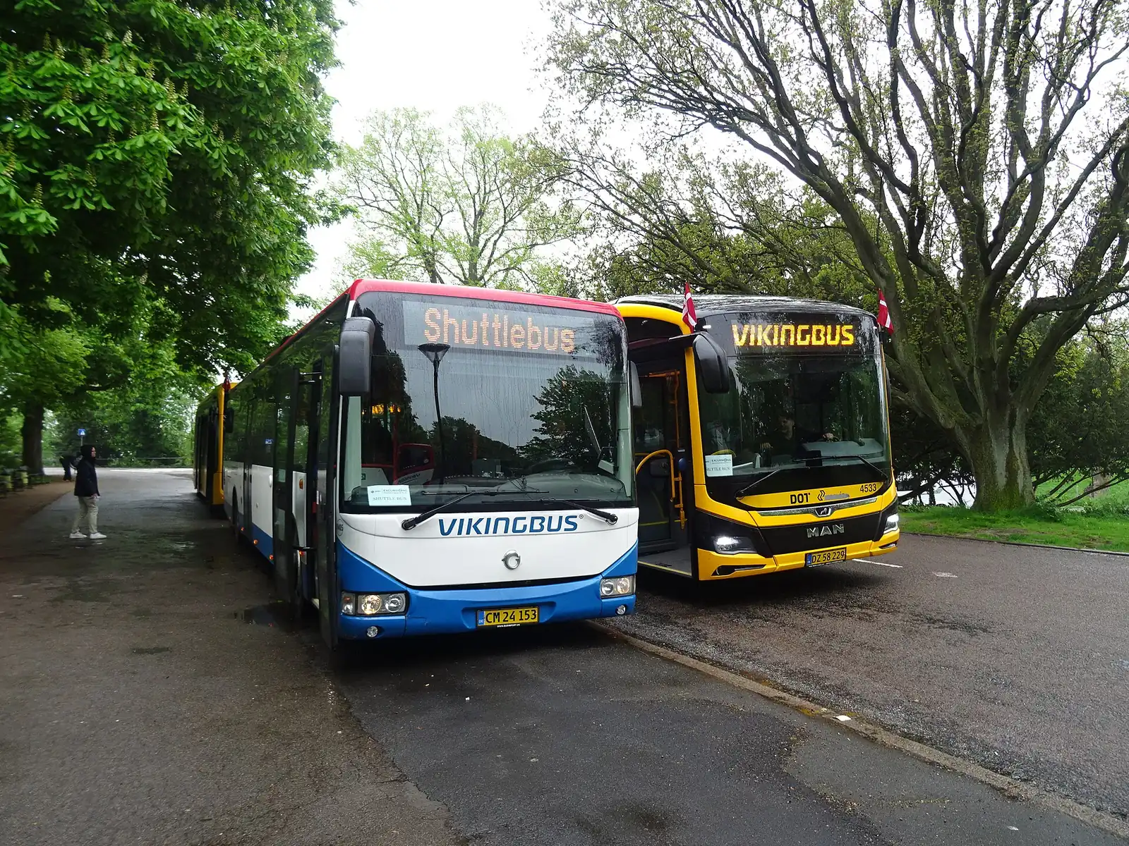 Shuttle buses parked under the trees on Langelinie