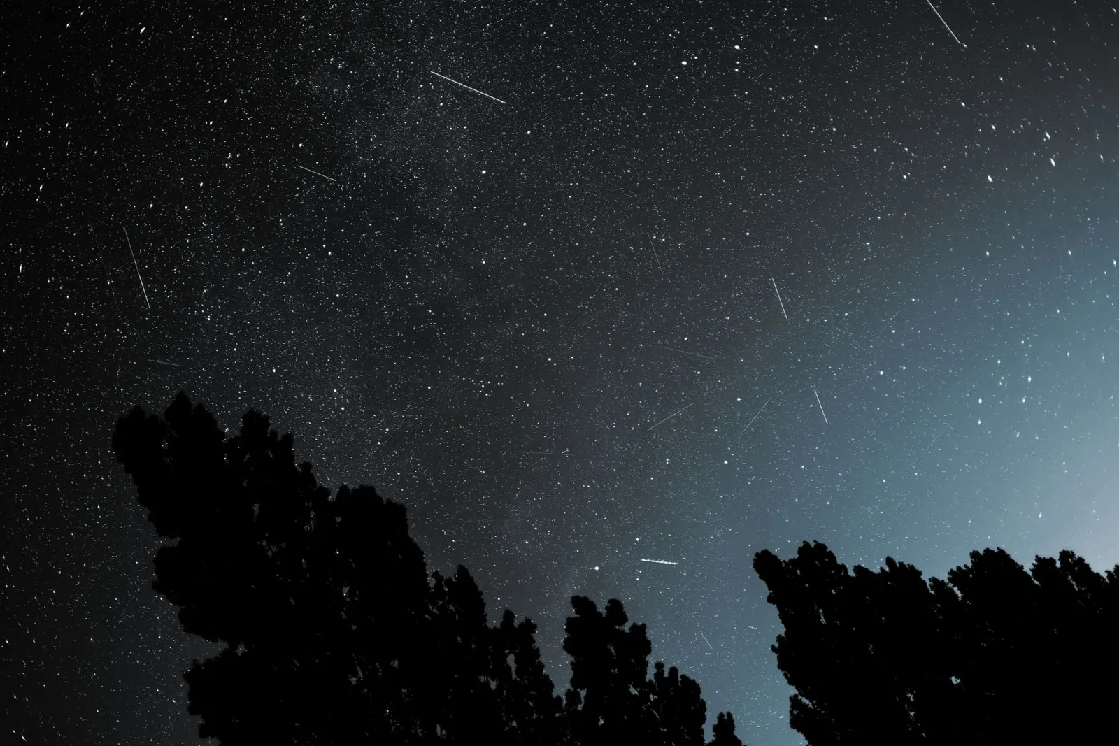 Meteors streaking across a starry night sky above the silhouettes of trees
